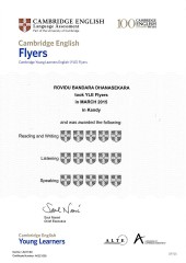 YLE  FLYERS EXAM Results (Unex English College) (10)