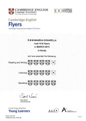 YLE  FLYERS EXAM Results (Unex English College) (11)